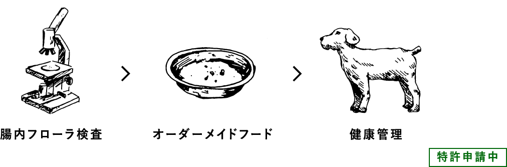 腸内フローラ検査 ＞ オーダーメイドフード ＞ 健康管理（特許申請中）