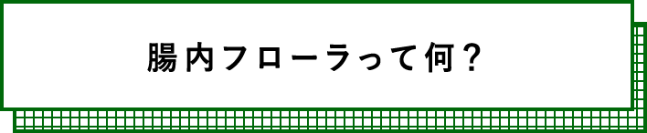 腸内フローラって何？