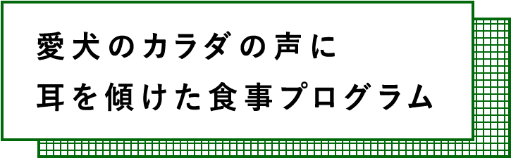 愛犬のカラダの声に耳を傾けた食事プログラム