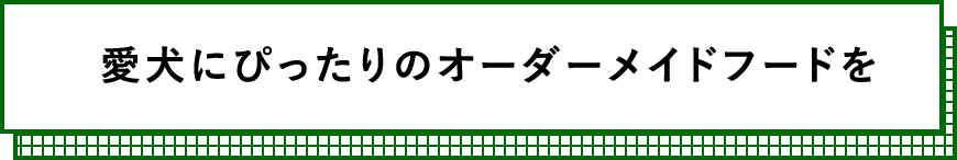 愛犬にぴったりのオーダーメイドフードを