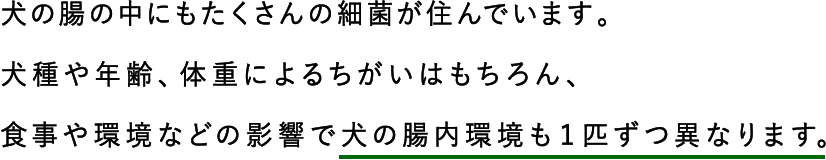 犬の腸の中にもたくさんの細菌が住んでいます。犬種や年齢、体重によるちがいはもちろん、食事や環境などの影響で犬の腸内環境も１匹ずつ異なります。