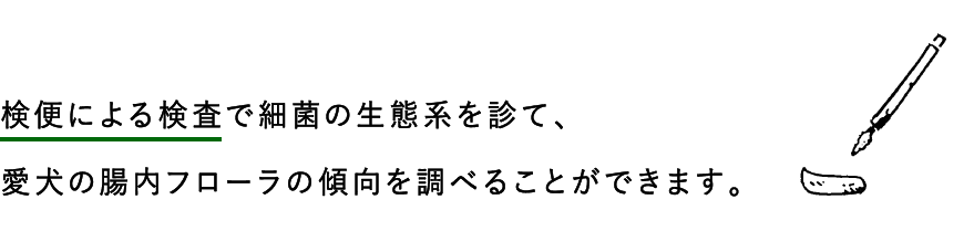 検便による検査で細菌の生態系を診て、愛犬の腸内フローラの傾向を調べることができます。