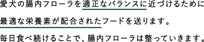 愛犬の腸内フローラを適正なバランスに近づけるために最適な栄養素が配合されたフードを送ります。毎日食べ続けることで、腸内フローラは整っていきます。